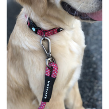 Ultralight Motivate Dog Lead